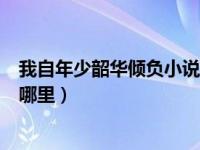 我自年少韶华倾负小说免费阅读（我自是年少韶华倾负出自哪里）