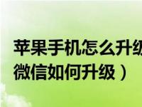 苹果手机怎么升级微信到最新版本（苹果手机微信如何升级）