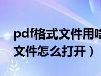 pdf格式文件用啥软件可打开呢（pdf格式的文件怎么打开）