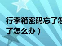 行李箱密码忘了怎么办关不上（行李箱密码忘了怎么办）