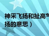 神采飞扬和扯高气扬意思（神采飞扬和趾高气扬的意思）