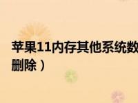 苹果11内存其他系统数据怎么删除（苹果手机内存其他怎么删除）