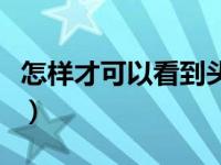 怎样才可以看到头条的私信（怎么私信头条号）