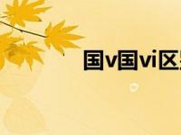 国v国vi区别（国v国vi区别）