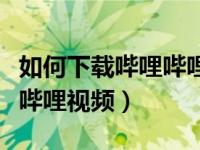 如何下载哔哩哔哩视频到优盘（如何下载哔哩哔哩视频）