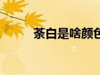 荼白是啥颜色（荼白是什么颜色）