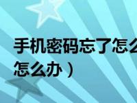 手机密码忘了怎么办快速解决（手机密码忘了怎么办）