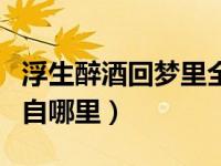 浮生醉酒回梦里全文解析（浮生醉酒回梦里出自哪里）