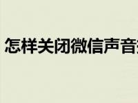 怎样关闭微信声音振动（怎样关闭微信声音）