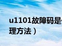 u1101故障码是代表什么（p1101故障码处理方法）