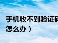 手机收不到验证码怎么办（手机收不到验证码怎么办）