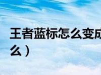 王者蓝标怎么变成紫标（王者蓝标下一个是什么）