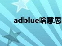 adblue啥意思啊（adblue什么意思）