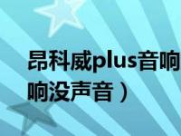 昂科威plus音响后排没声音（昂科威突然音响没声音）