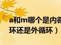 a和m哪个是内循环哪个是外循环（a是内循环还是外循环）