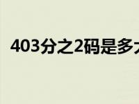 403分之2码是多大（403/2码是什么意思）