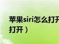 苹果siri怎么打开设置唤醒他（苹果siri怎么打开）