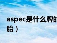 aspec是什么牌的轮胎（aspec是什么牌子轮胎）