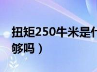 扭矩250牛米是什么概念（扭矩250牛米动力够吗）