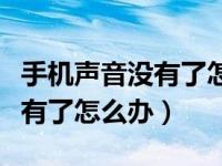 手机声音没有了怎么办可以关机（手机声音没有了怎么办）