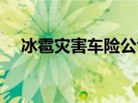 冰雹灾害车险公司赔吗（冰雹车险赔吗）