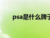 psa是什么牌子的车（psa是什么车）