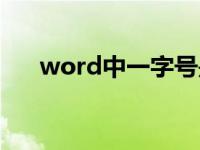 word中一字号是多少（word打分数）