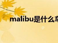 malibu是什么车呢（mrlibu是什么车）