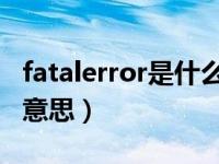 fatalerror是什么意思啊（fatal error是什么意思）