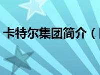 卡特尔集团简介（国际卡特尔是跨国公司吗）