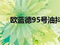 欧蓝德95号油抖动（欧蓝德2.4抖动吗）