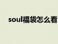 soul福袋怎么看（soul福袋在哪里查看）