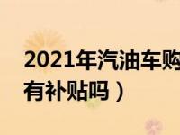 2021年汽油车购车有补贴吗（农村买国产车有补贴吗）