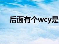 后面有个wcy是什么车（wcy是什么车）