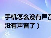 手机怎么没有声音了充电也没有了（手机怎么没有声音了）