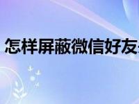 怎样屏蔽微信好友头像（怎样屏蔽微信好友）