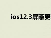 ios12.3屏蔽更新（ios12.3怎么更新）
