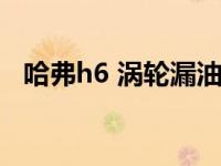 哈弗h6 涡轮漏油（h6涡轮漏油怎样解决）