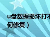 u盘数据损坏打不开怎样修复（u盘打不开如何修复）