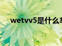 wetvv5是什么车（we丫vv5是什么车）