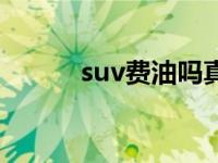 suv费油吗真实吗（suv费油吗）