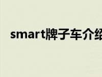 smart牌子车介绍（smort是什么牌子车）