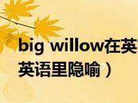 big willow在英文中的暗示（big willow在英语里隐喻）