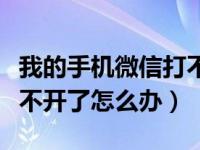 我的手机微信打不开你有办法吗（手机微信打不开了怎么办）