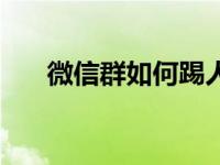 微信群如何踢人（怎么在微信群踢人）
