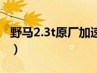 野马2.3t原厂加速实测（野马2.3t百公里加速）