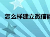 怎么样建立微信群（怎么快速建立微信群）