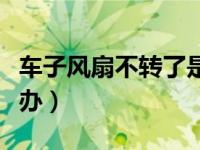 车子风扇不转了是怎么了（车子风扇不转怎么办）
