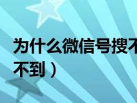 为什么微信号搜不到联系人（为什么微信号搜不到）