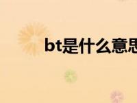 bt是什么意思呢（bt是什么意思）